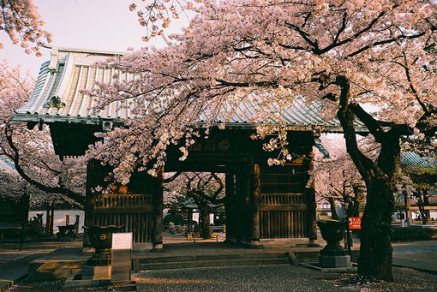 日本医疗旅游整体流程是怎样的